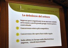 Le debolezze del settore.