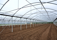 L'azienda possiede cinque ettari di terreno sotto serra. Qui, un campo pronto per la semina.