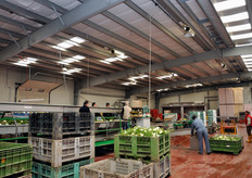 All'interno dello stabilimento trovano posto, in vari momenti dell'anno, diverse linee di confezionamento, a seconda dello specifico prodotto trattato in quel momento.