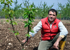 Donato Torchetti saluta i lettori di FreshPlaza accanto a uno dei suoi ultimi esperimenti: un doppio innesto di ciliegio e albicocco sul medesimo portinnesto!