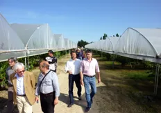 I partecipanti alla visita guidata del 30 aprile scorso, mentre si recano a visitare i frutteti sottocopertura, presso l'Azienda Agricola Suriano & Casalnuovo di Policoro (MT).