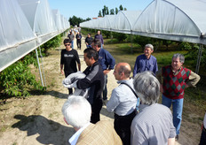 Presenti soprattutto frutticoltori, tecnici delle diverse Organizzazioni di Produttori lucane e vivaisti.