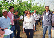 Carmela Suriano, Direttore Generale Planitalia srl, durante il saluto ai partecipanti alla visita guidata, ha messo in evidenza l'importanza, per il comparto frutticolo italiano in crisi da alcuni anni, dell'ampliamento del calendario di offerta. Le varieta' selezionate dal gruppo spagnolo Inotalis – Planasa per l'aspetto esteriore, le caratteristiche organolettiche e la precocita' dell'epoca di maturazione sono una risposta concreta alla concentrazione di produzione del periodo estivo (giugno-settembre).