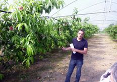 Pasquale Carbone, tecnico Planitalia, ha illustrato le caratteristiche agronomiche e pomologiche delle varieta' coltivate (VIOWHITE(R) 5, PLAWHITE(R) 5, PLAGOLD(R)® 10, PLAGOLD(R) 15,) presso il campo dimostrativo dell'Azienda Agricola Suriano & Casalnuovo di Policoro (MT).