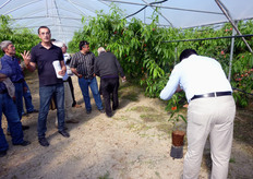 I punti di forza delle varieta' selezionate dal gruppo Inotalis – Planasa, ha affermato Carbone, sono l'elevata fertilita', aspetto attraente dei frutti, colorazione rossa su quasi tutta l'epidermide, resistenza al cracking (spaccatura dei frutti), ottima consistenza della polpa e buone qualita' organolettiche.