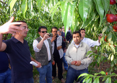 Momento della visita agli impianti dell'Azienda Agricola Agrifela di Policoro (MT). Le serre di Agrifela alcuni anni fa erano adibite alla coltivazione di ortaggi, attualmente sono state adattate alla coltivazione di nettarine (gruppo Zincal) a pesche (gruppo Plagold) delle varieta' spagnole a basso fabbisogno in freddo.