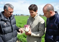 Eugenio Tiozzo, Alessandro Schiappa e Alessandro Caraffa esaminano un esemplare di radicchio.