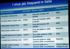 "Si conoscono e si studiano ben 120 virus - ha detto il ricercatore - di cui, per fortuna, solo 6-7 presenti negli areali siciliani"."