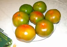 VERTYCO F 1 (ex CF 262) - Il pomodoro insalataro verde resistente al virus dell'accartocciamento fogliare giallo e al virus dell'avvizzimento maculato del pomodoro.