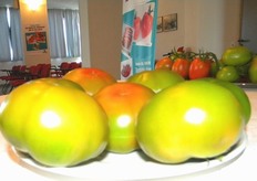 VERTYCO F 1 (ex CF 262) - Pianta vigorosa che produce a lungo. Produzione omogenea. Buona conservazione post-raccolta.