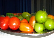 MYRIADE F1 - Pomodoro di tipo ovale per coltivazioni in serra - Pianta vigorosa e produttiva. Frutto ovale, uniforme, di buon calibro. Adatto per raccolta a frutto verde e rosso. Ampia gamma di resistenze genetiche.