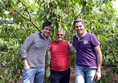 Da sinistra a destra: Giuseppe, Nicola e Stefano Borracci.