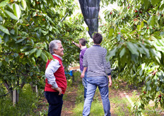 I vantaggi derivanti da un impianto del genere sono: 1. la copertura del 90 per cento della produzione, che viene così tenuta al riparo da pioggia e grandine; 2. l'uniformita' di colore dei frutti, la pezzatura piu' grossa, e minori costi di raccolta.