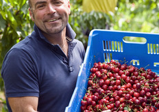 Mimmo mostra una cassetta del prodotto raccolto.