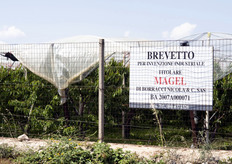 Per maggiori informazioni: Stefano Borracci - Tel.: +39 (0)80 4761337 - Fax: +39 (0)80 4778785 - info@serroplast.it