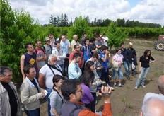 Presenti alle prove di potatura frutticoltori, tecnici, potatori e studenti della facoltà di Agraria dell’Universita' Politecnica delle Marche, Ancona.