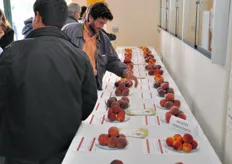 Interesse del pubblico per la mostra pomologica sulle varieta' da frutto a maturazione precoce.