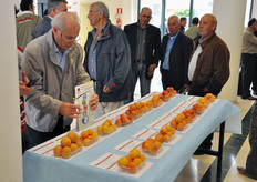 Mostra pomologica sull'albicocco.