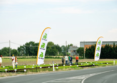 "Ogni anno, a San Mauro Pascoli (FC), in occasione delle celebrazioni per San Pietro e Paolo, si tiene un weekend di festa presso la cornice di "Villa Torlonia", antico palazzo nobiliare, appartenuto un tempo alla famiglia Torlonia. Nell'occasione, l'azienda sementiera Rijk Zwaan ha organizzato, per il secondo anno di fila, un demo field a pochi passi dall'ingresso della Villa, nel quale ha voluto presentare le sue novita' varietali di lattuga."