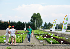 Il materiale in mostra e' tutto relativo al periodo primavera/estate ed e' indicato tanto per le produzioni di I gamma (vendita a cespi interi confezionati), quanto per quelle di IV gamma (vendita sotto forma di insalata in busta).