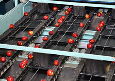 Dettaglio calibratrice.