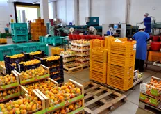 La frutta confezionata e' di produzione locale oppure giunge dai centri di raccolta che Orogel Fresco possiede a Battipaglia (SA), Policoro (MT) e altre località del Centro-Sud.