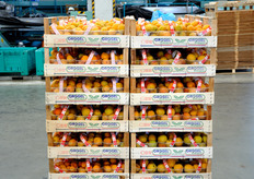 Oltre l'80 per cento del prodotto viene commercializzato a marchio Orogel Fresco.