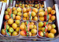 "Cestini di albicocche "Fresco Gusto"."