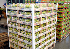 "Pallet di susine in fase di completamento. "Sui formati delle spedizioni - nota Maldini - c'e' estrema variabilita' quest'anno. I supermercati ci richiedono alle volte solo mezzo pallet o anche meno per determinati prodotti, probabilmente in conseguenza di un andamento meno costante negli acquisti da parte dei consumatori"