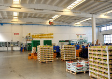 Lo stabilimento di Longiano (FC) e' dotato anche di una capacita' frigorifera per 10.000 ton di frutta.