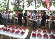"Il 1 luglio 2010 si e' svolta la consueta "Giornata di frutticoltura e mostra pomologica" organizzata dall'Azienda Agricola Sperimentale Dimostrativa dell'A.L.S.I.A. "Pantanello" di Metaponto (MT)."