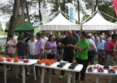 Presenti alla giornata tecnica di Metaponto operatori del settore ortofrutticolo, nazionali e stranieri, tecnici, imprenditori e vivaisti.