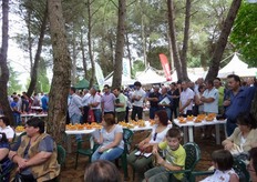 "La mostra pomologica e' stata realizzata con i campioni provenienti dalle Unita' Operative Nazionali (in particolare A.A.D.S. "Pantanello" ALSIA) che operano nell'ambito del Progetto Mipaaf Regioni – Liste di orientamento varietale dei fruttiferi."