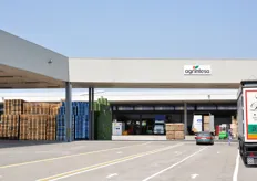 A fine giugno 2010, la Redazione di FreshPlaza Italia si e' recata in visita presso uno degli stabilimenti del colosso cooperativo ortofrutticolo Agrintesa, sorto dalla fusione tra le tre cooperative Agrifrut Romagna, Emiliafrutta di Castelfranco Emilia e Intesa.