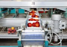 Particolare del macchinario per la cestinatura automatica della frutta.