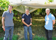 Agli inizi di luglio 2010, la Redazione di FreshPlaza Italia si e' recata in visita presso la cooperativa Viva Frutta, con sede legale a Rutigliano (BA) e stabilimento sito ad Acquaviva delle Fonti (BA), per documentare l'avvio della stagione commerciale dell'uva da tavola e le novita' nel calendario di offerta della cooperativa. Nella foto, da sinistra a destra: Gaetano Lombardo, Paolo Iaffaldano e Filippo Giglio.