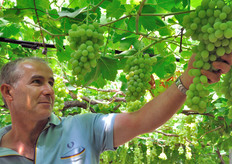 "Filippo Giglio (nella foto), oggi responsabile per i prodotti bio di Viva Frutta, commenta: "Aggregarci e' servito non solo ad accorciare la filiera, ma anche a condividere esperienze e apprendere le migliori tecniche produttive l'uno dall'altro. La scelta biologica sottolinea inoltre un aspetto non secondario della nostra filosofia aziendale: quello di presentarci come un'impresa attenta all'impatto ambientale e sostenitrice di un'agricoltura eco-compatibile"."