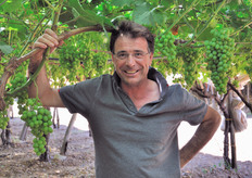 Gaetano Lombardo nel suo vigneto.