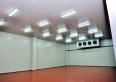 L'interno di una cella. Il magazzino ha una capienza di stoccaggio di circa 400 tonnellate.