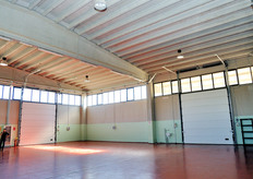 "Paolo Iaffaldano conclude: "Per noi, fare produzione di qualita' e' un dato scontato e acquisito. L'elemento distintivo sul quale puntare oggi e' riempire questo concetto di "qualita'" con contenuti tangibili e concreti. Percio' Viva Frutta ha scommesso sulla cooperazione, la sostenibilita' ambientale, la sicurezza alimentare e quella del lavoro. Al mercato il compito di giudicarci nei fatti"."