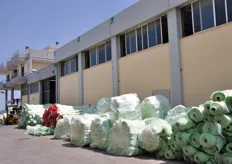 A inizio luglio 2010, la Redazione di FreshPlaza Italia si e' recata in visita presso lo stabilimento di Rutigliano (BA) dell'azienda Serroplast, specializzata nella produzione e installazione di teli plastici per l'agricoltura in generale e per l'ortofrutticoltura in particolare.
