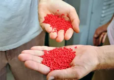 Da questo polietilene granulato di colore rosso, Serroplast produce anche lacci con resistenza testata, impiegati per legare i teli plastici agli impianti frutticoli.