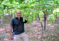 Uva SUPERIOR SEEDLESS® al 21 luglio 2010.