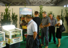 "Li abbiamo fatti noi"."