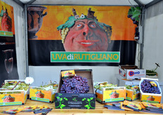 Nella giornata del 18 settembre 2010 e' stato indetto il concorso per il grappolo piu' grande. E' risultato vincitore questo esemplare da circa 7 kg di peso (al centro nella foto), prodotto dall'Az. Galluzzi di Polignano a Mare.