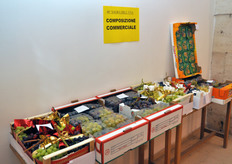 I partecipanti alla gara per la migliore composizione commerciale.