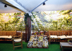 Allestimento dello stand dell'azienda Giuliano, tra le protagoniste della produzione di uva da tavola nel territorio barese.