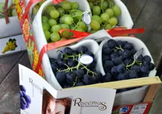 Dettaglio di una cassettina di uva a marchio Racemus.