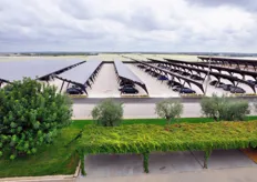Lo stabilimento della Giuliano e' uno dei piu' avanzati di tutta l'Italia meridionale. Nel parcheggio è stato realizzato un parco fotovoltaico, che entrera' in funzione a breve.