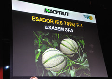 "Per la categoria "Sementi e prodotti ortofrutticoli freschi", è riuscito vincitore il melone Esador di Esasem (Casaleone - VR). Si tratta di un ibrido con ottima presentazione per la sua retatura fitta e la solcatura marcata. La forma e' tonda-ovale, con peso medio di 1,4 – 1,6 Kg. Polpa di colore arancione, croccante e con elevato grado Brix. La consistenza della polpa e la sua ottima conservazione lo rendono ideale per la grande distribuzione e per l’export. La pianta e' di media vigoria e di ottima copertura fogliare. Con un ciclo precoce, e' adatta ai trapianti in serra, tunnel e pieno campo. Grazie alla buona fertilita' a all’elevata uniformita', garantisce un’ottima produzione Ha un’elevata resistenza (HR) a Fusarium oxysporum f.sp. melonis (Fom 0,1,2) e una resistenza intermedia (IR) a Golovinomyces cichoracearum (ex Erysiphe cichoracearum)(Gc) e Podosphaeria xanthii (ex Sphaerotheca fuliginea)(Px)."